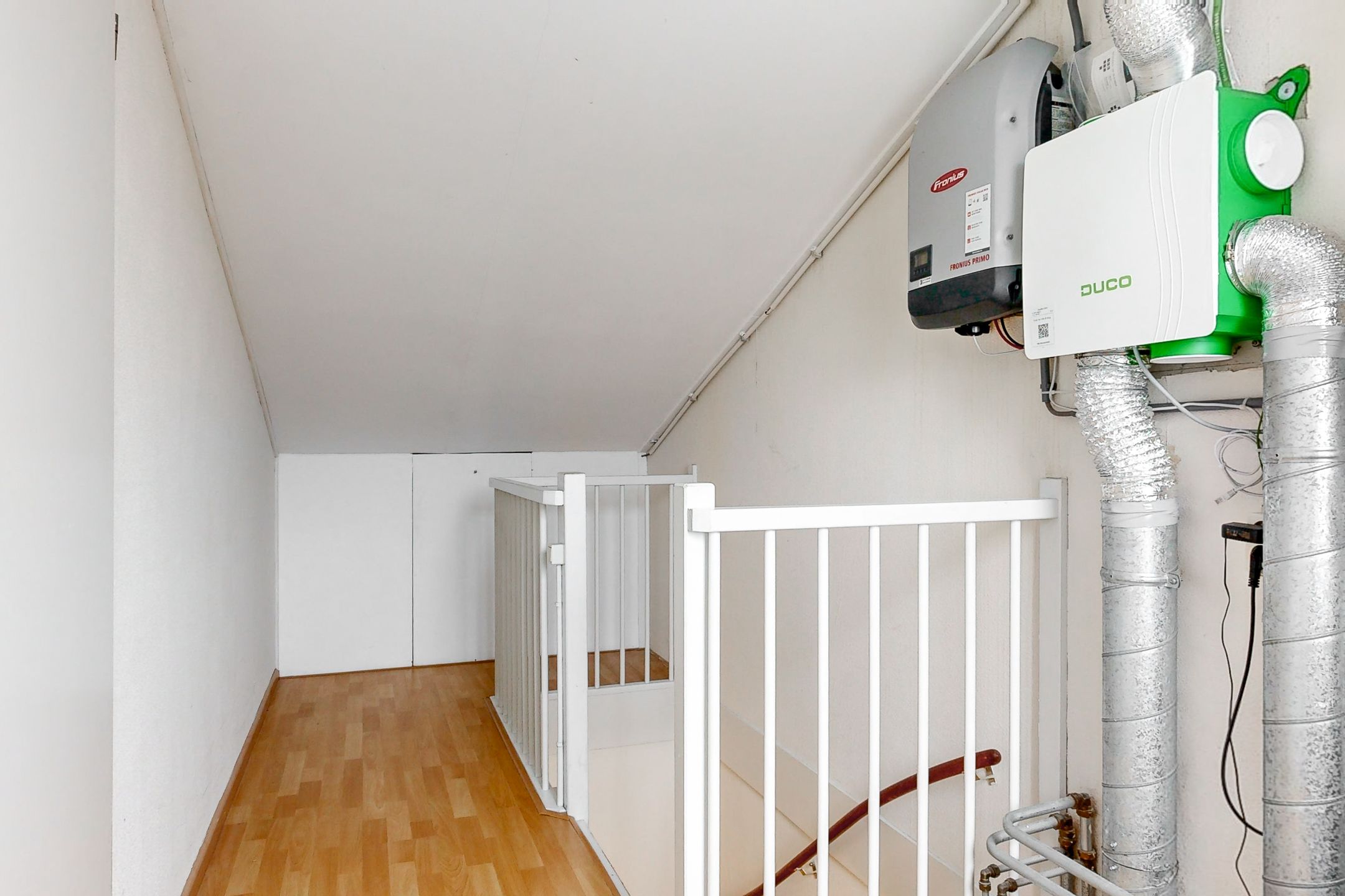 Foto 24 van Helmkruid 20