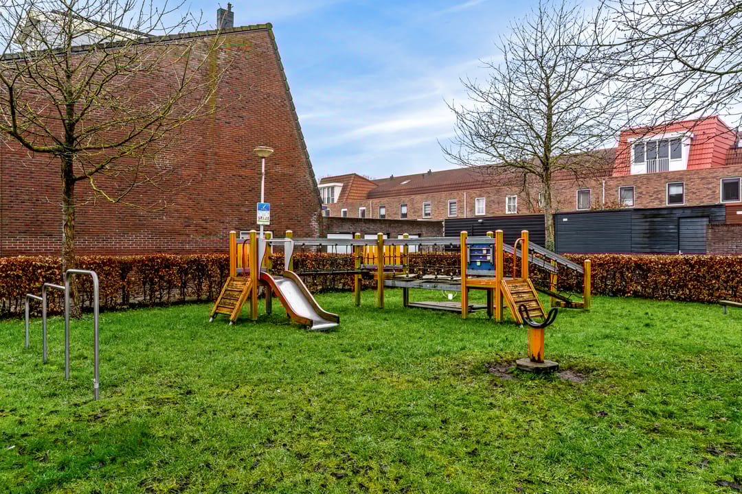 Foto 28 van Helmkruid 20