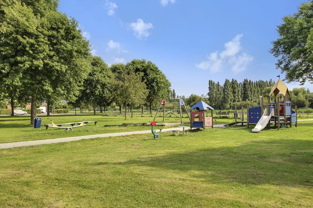 Foto 29 van Helmkruid 20