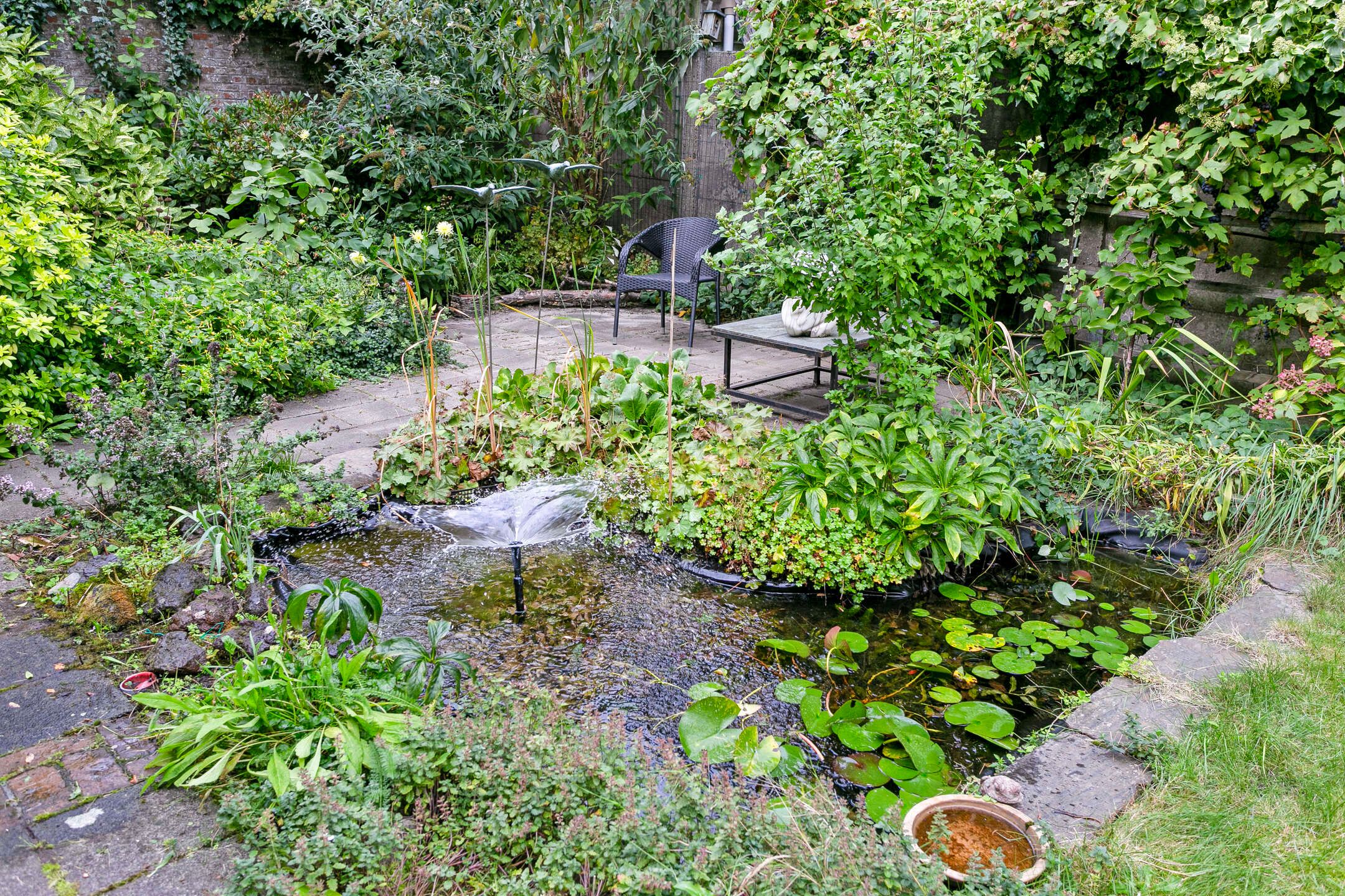 Foto 42 van Wassenaarstraat 50