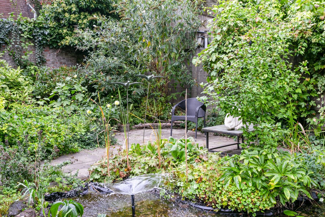 Foto 43 van Wassenaarstraat 50