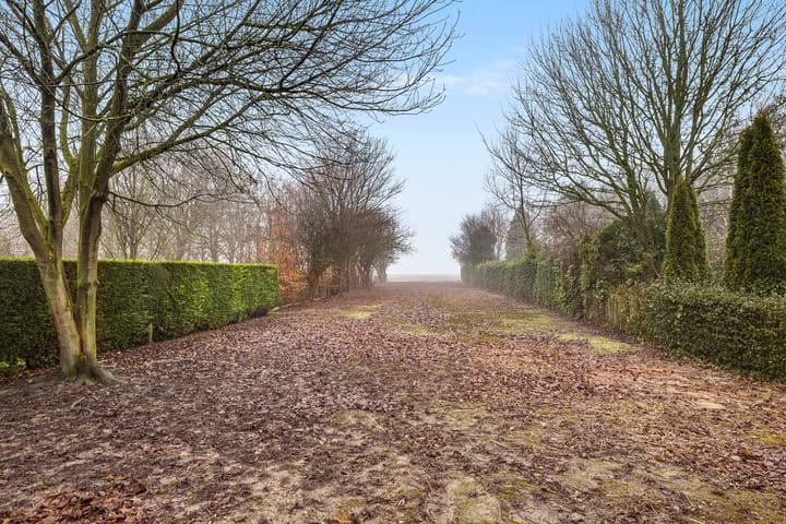 Foto 37 van Lindenlaan 42