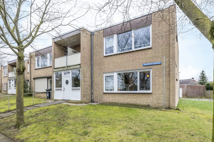 Foto 1 van Kruisbergplantsoen 37