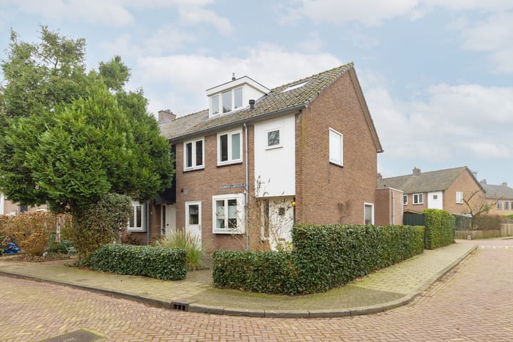 undefined main image