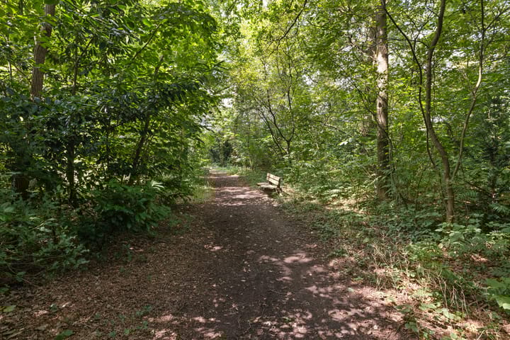 Foto 54 van Prins Mauritslaan 2