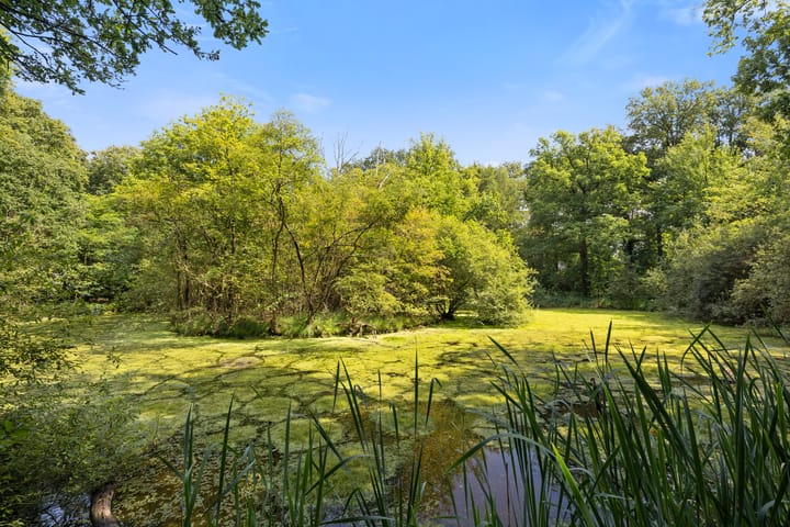 Foto 55 van Prins Mauritslaan 2