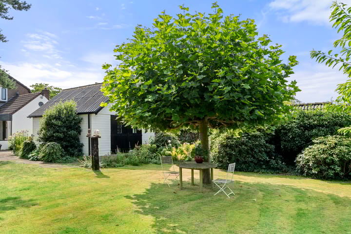 Foto 20 van West Breukelderweg 18