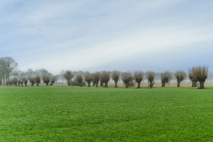 Foto 36 van Koestraat 21