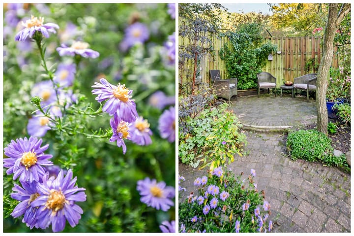 Foto 39 van Söderblomstraat 150