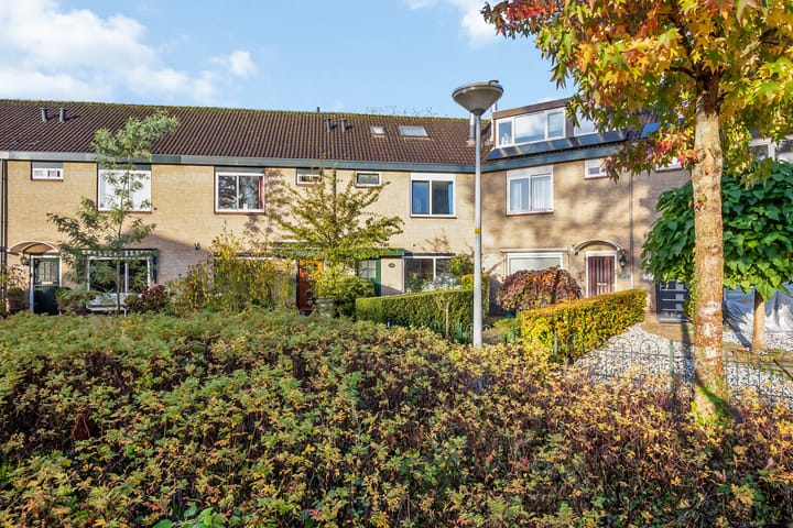 Foto 43 van Söderblomstraat 150