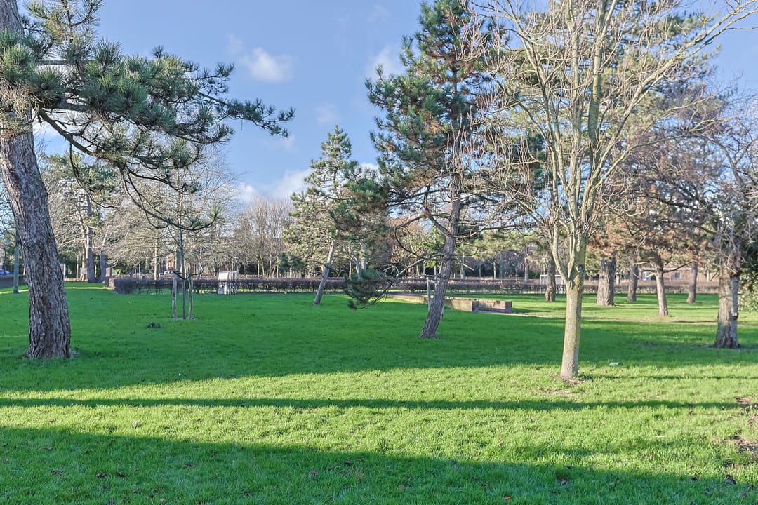 Foto 2 van Driftstraat 48