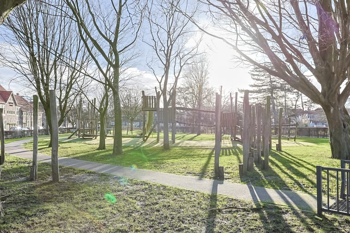 Foto 27 van Driftstraat 48