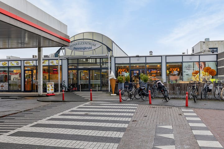 Foto 35 van Zilverschoon 39