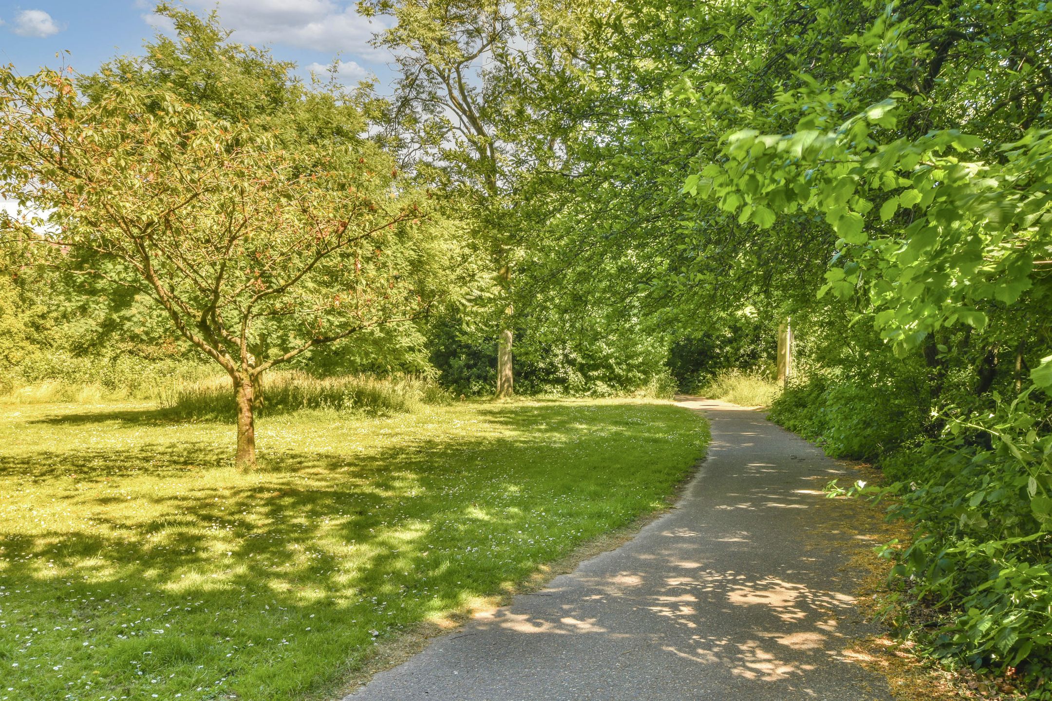 Photo 21 of Leusdenhof 51