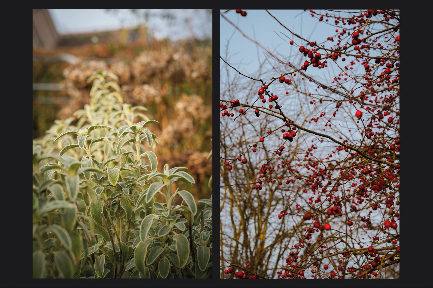 Foto 20 van Elzenskamp 18