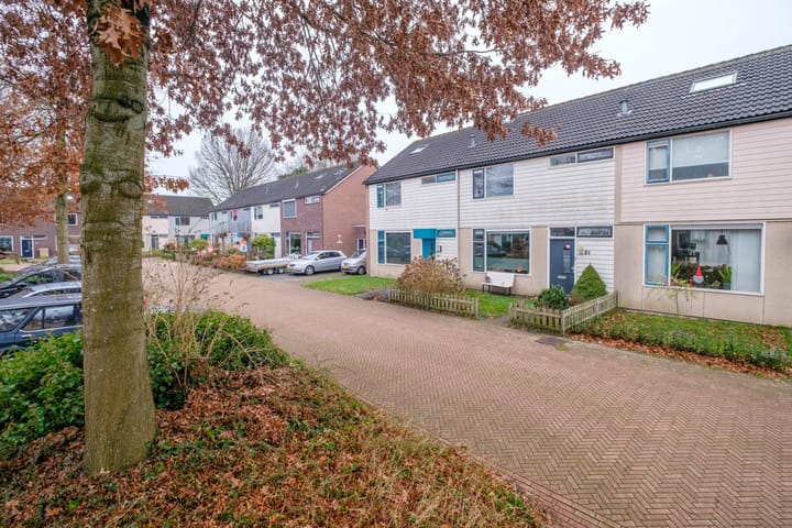 Foto 1 van Ireneplein 21