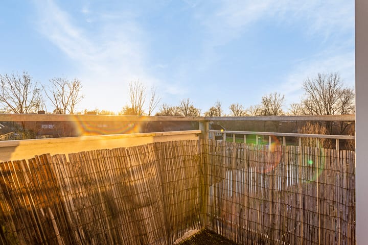 Photo 23 of Terneuzenstraat 139