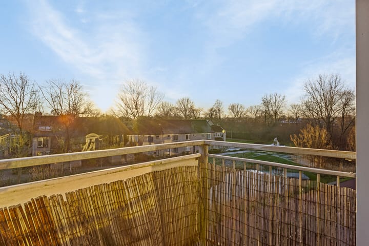 Photo 24 of Terneuzenstraat 139