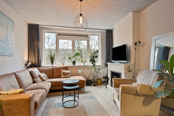 Foto 8 van Schieweg 219-A03