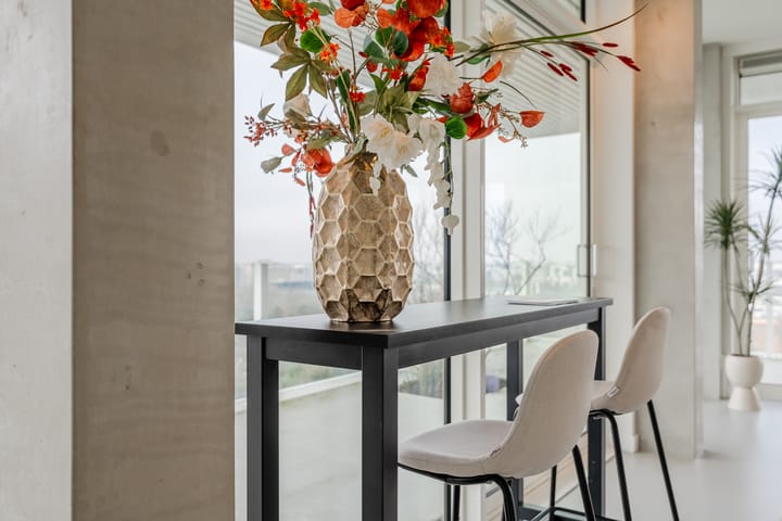 Foto 11 van Haarlemmerweg 432