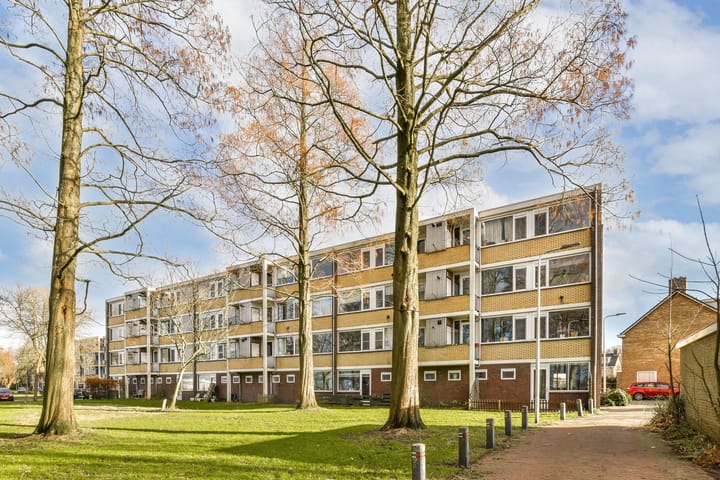 Foto 2 van Saksenhorst 17