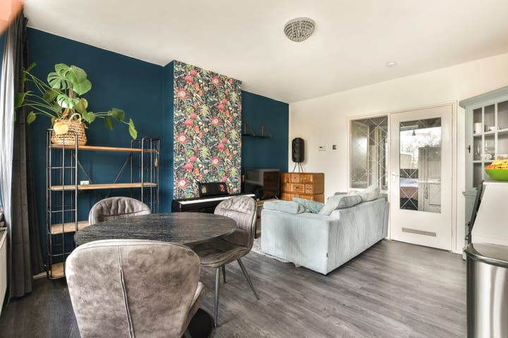 Foto 5 van Saksenhorst 17