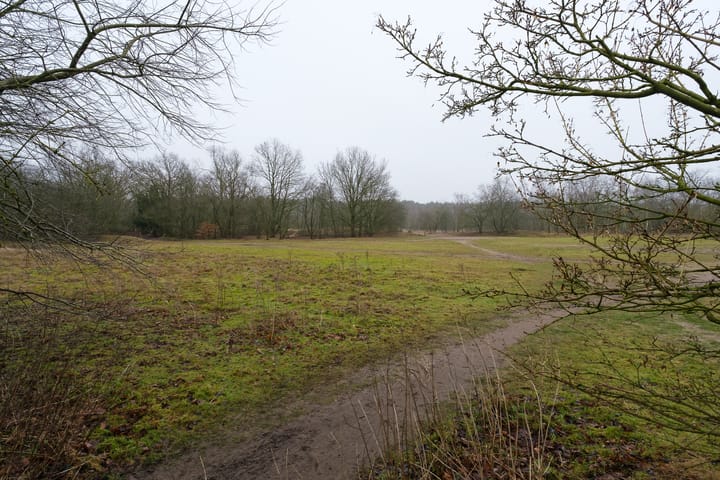 Foto 26 van Rigelstraat 37