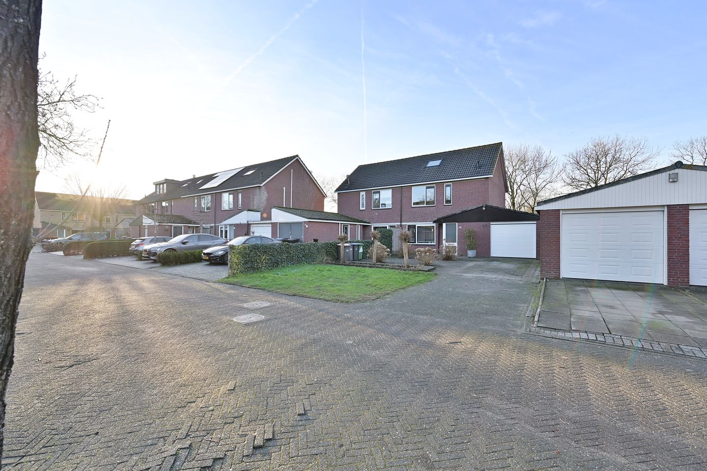 Foto 1 van Fluitekruid 10