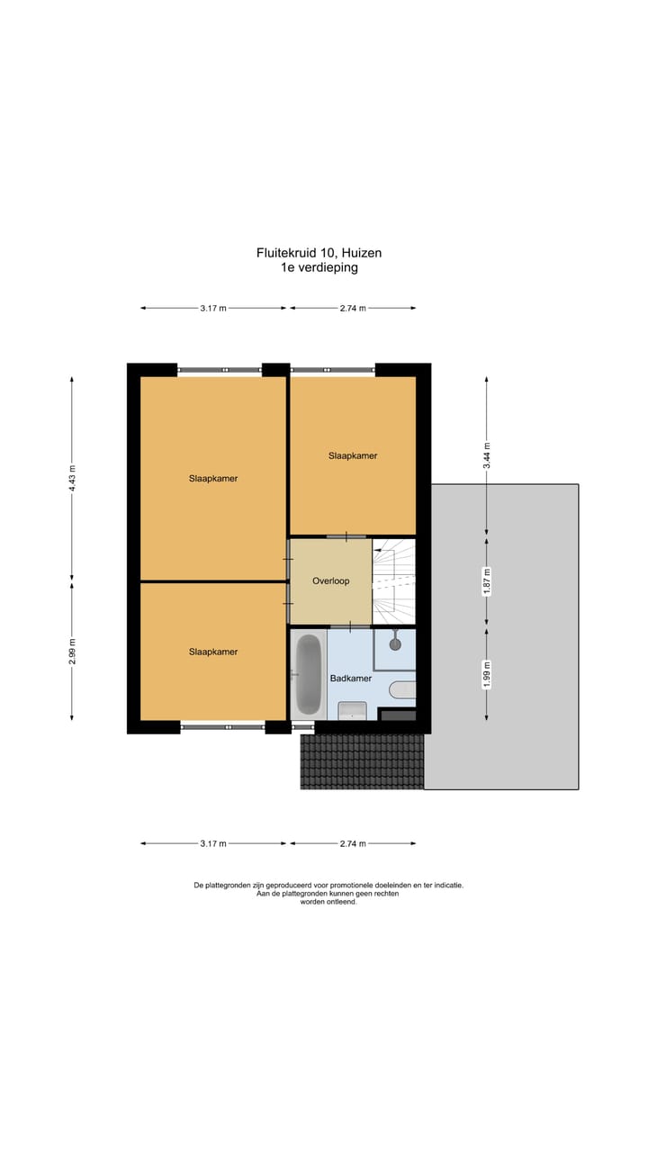 Foto 19 van Fluitekruid 10