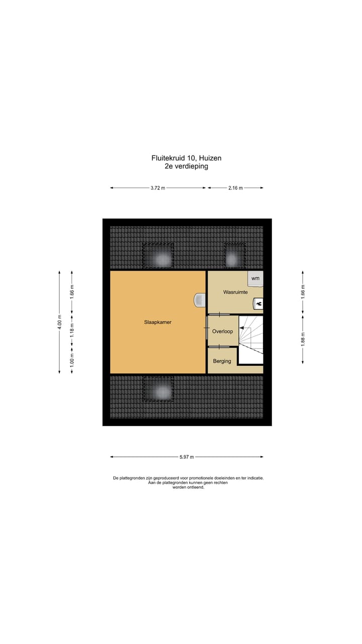 Foto 20 van Fluitekruid 10
