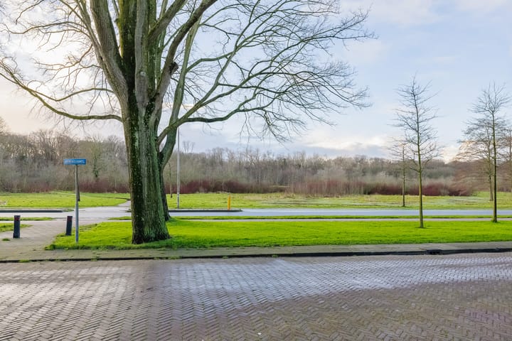 Foto 5 van Iepenstraat 36