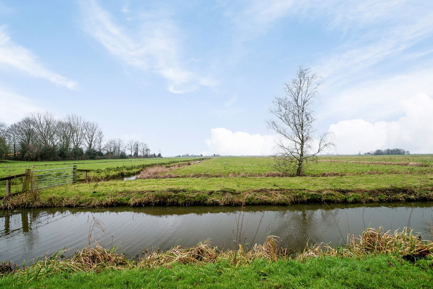 Foto 34 van Verdistraat 119