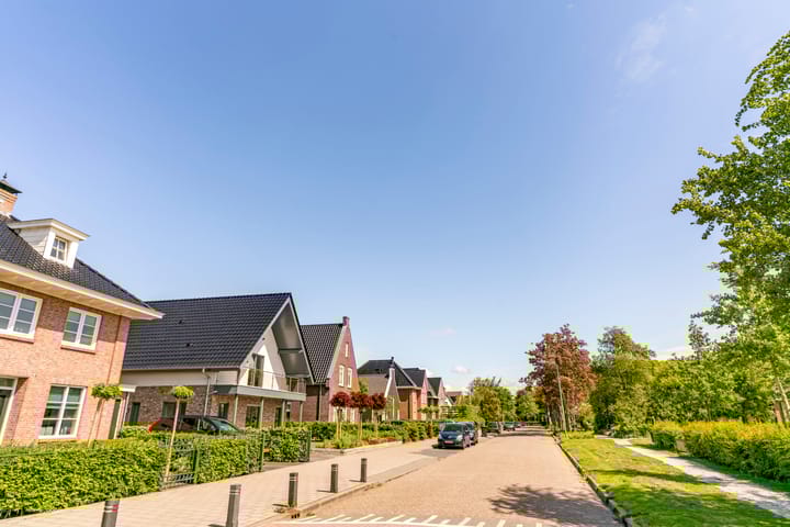 Foto 47 van De Kuil 29