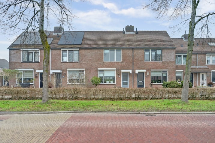undefined main image