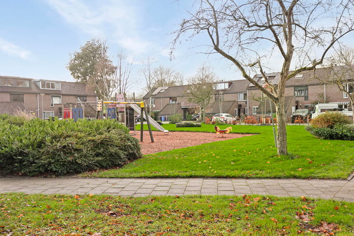 Foto 2 van Koekoek 13