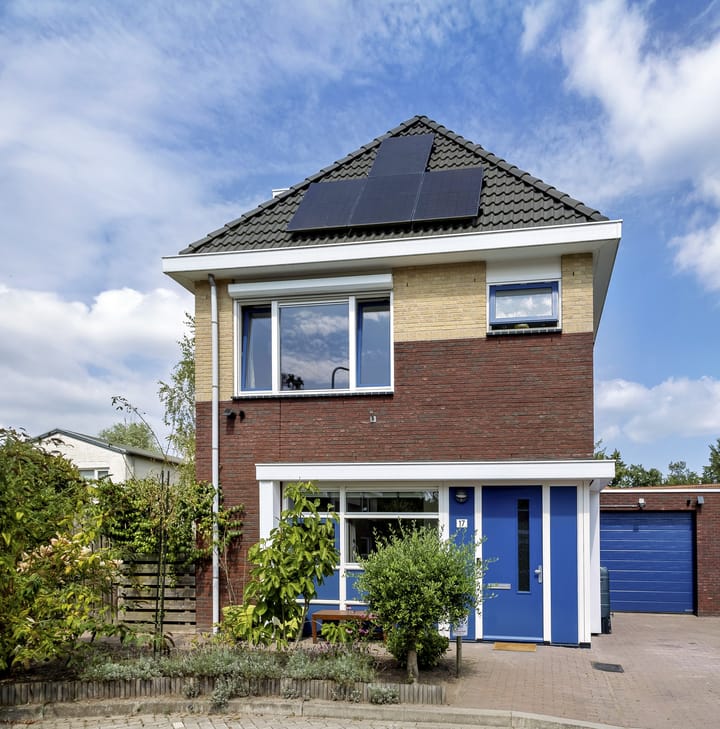 Foto 50 van Prinses Máximahof 17