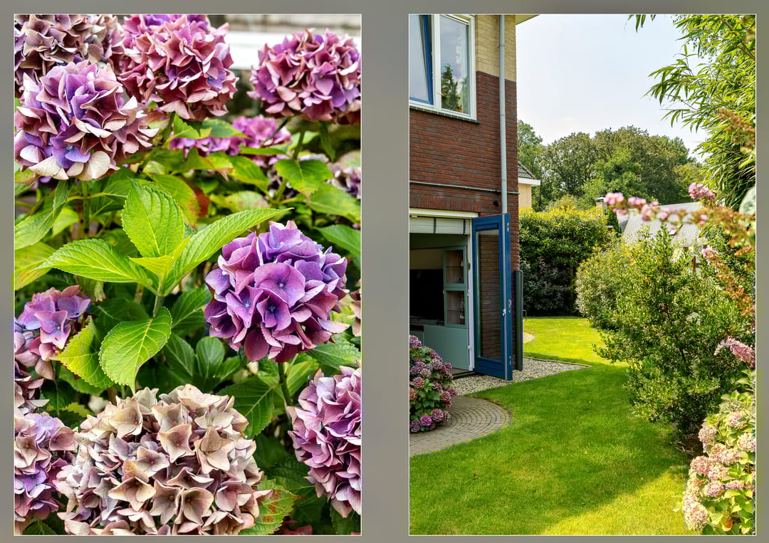 Foto 61 van Prinses Máximahof 17