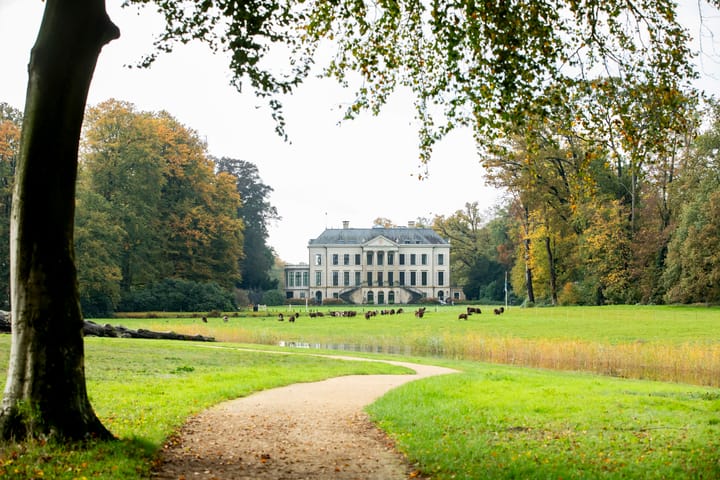 Foto 64 van Prinses Máximahof 17