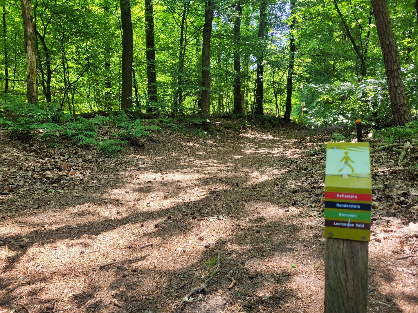 Foto 65 van Prinses Máximahof 17