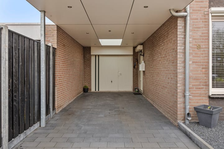 Foto 9 van Blauwborst 9