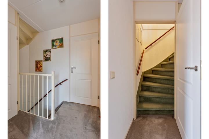 Foto 26 van Blauwborst 9