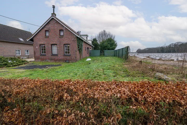 Foto 41 van Breukelderveestraat 14