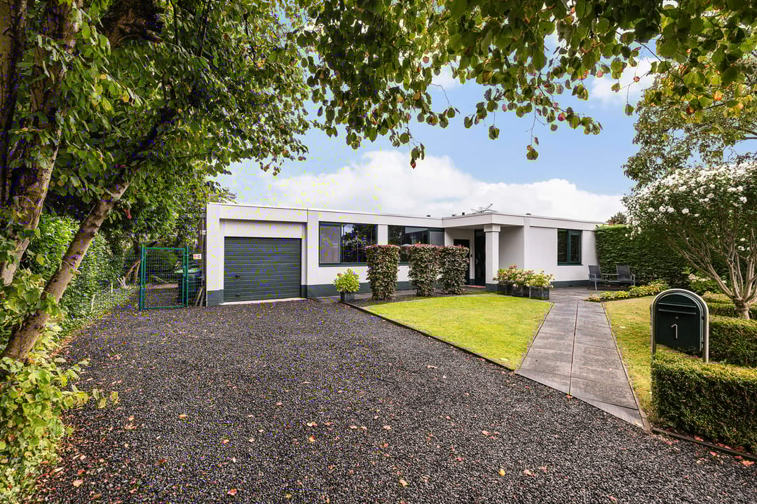 Foto 1 van Sterrebos 1