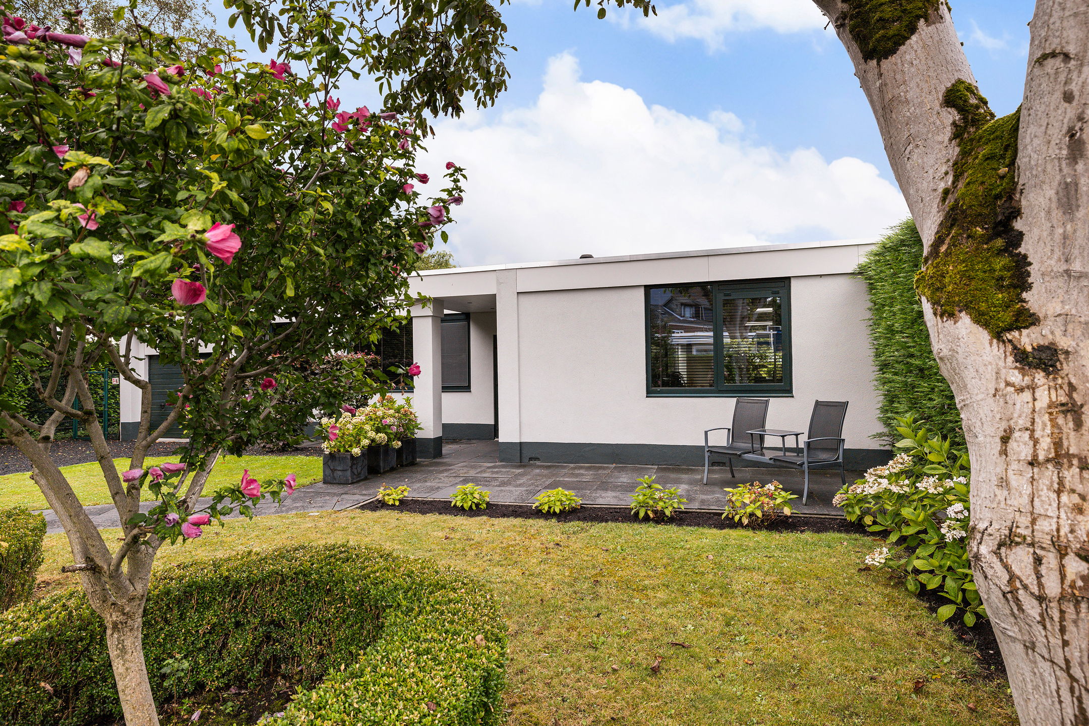 Foto 12 van Sterrebos 1