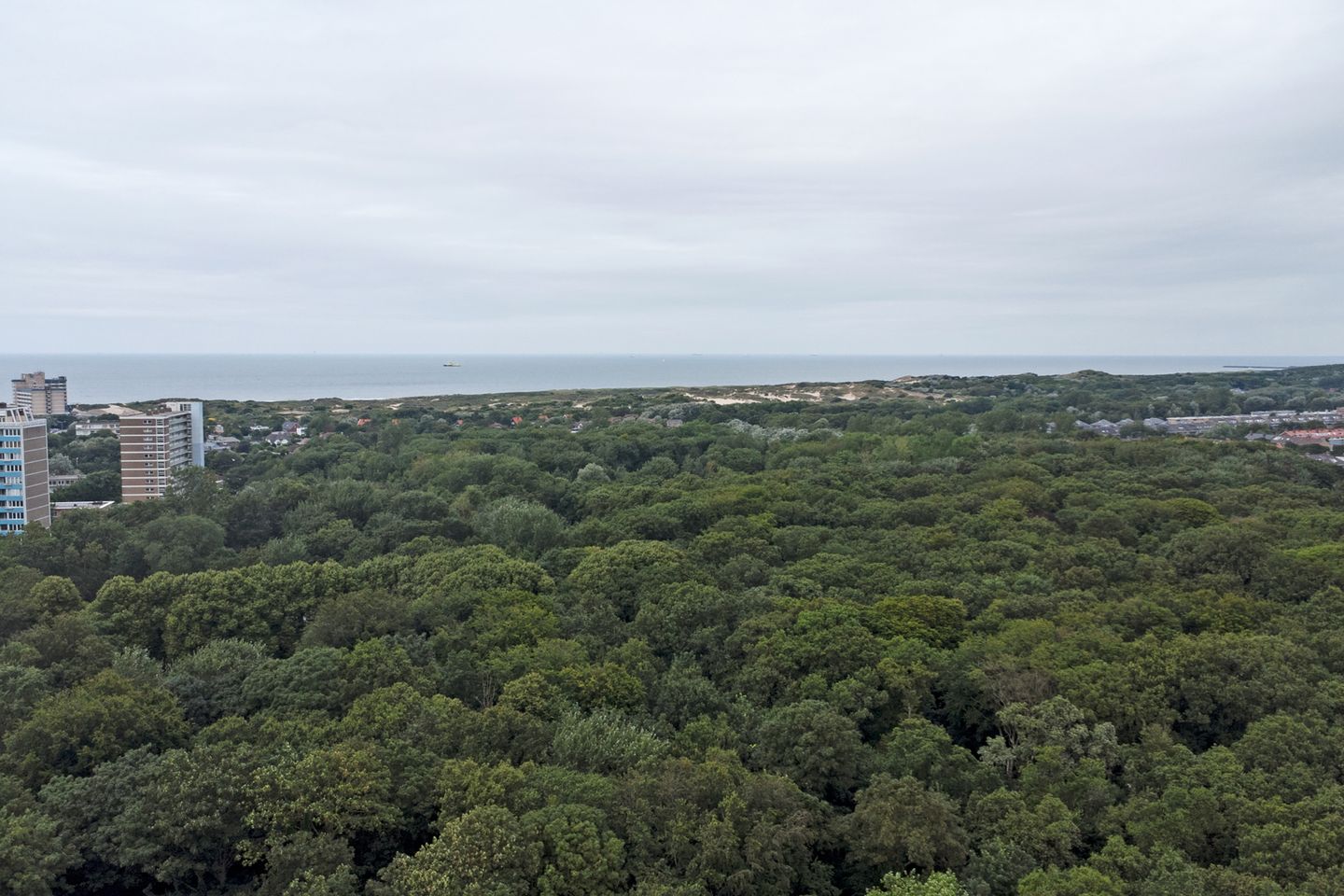 Foto 35 van Louis Davidsstraat 73