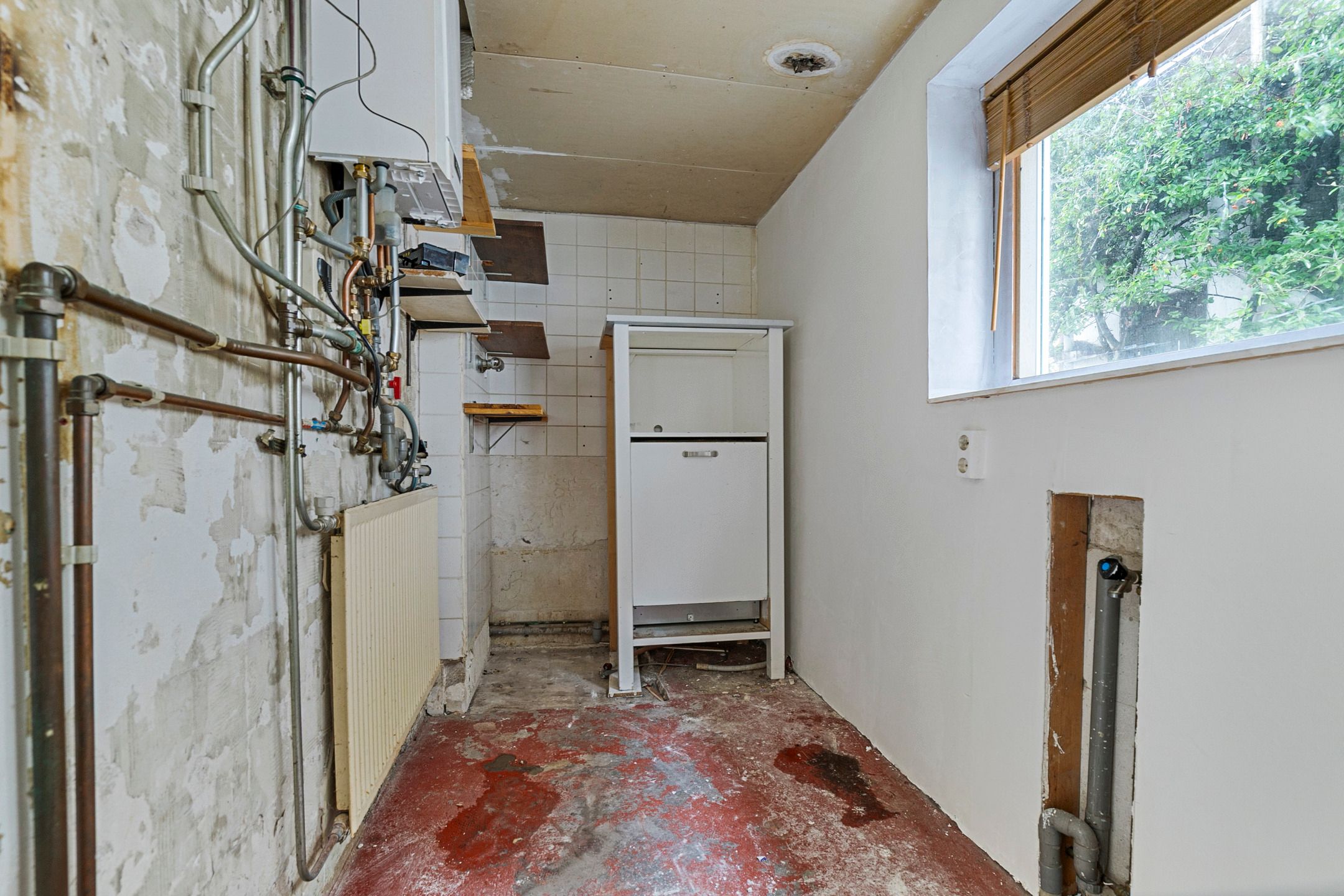 Foto 9 van Alde Buorren 8