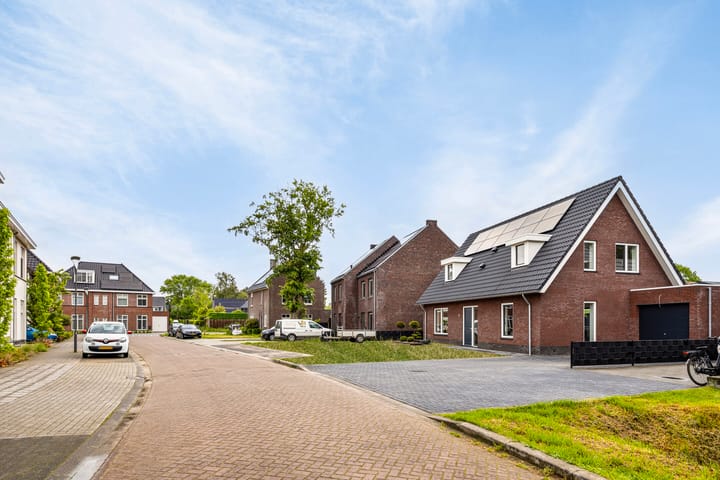 Foto 2 van Pijlkruid 5