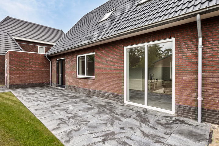 Foto 25 van Pijlkruid 5