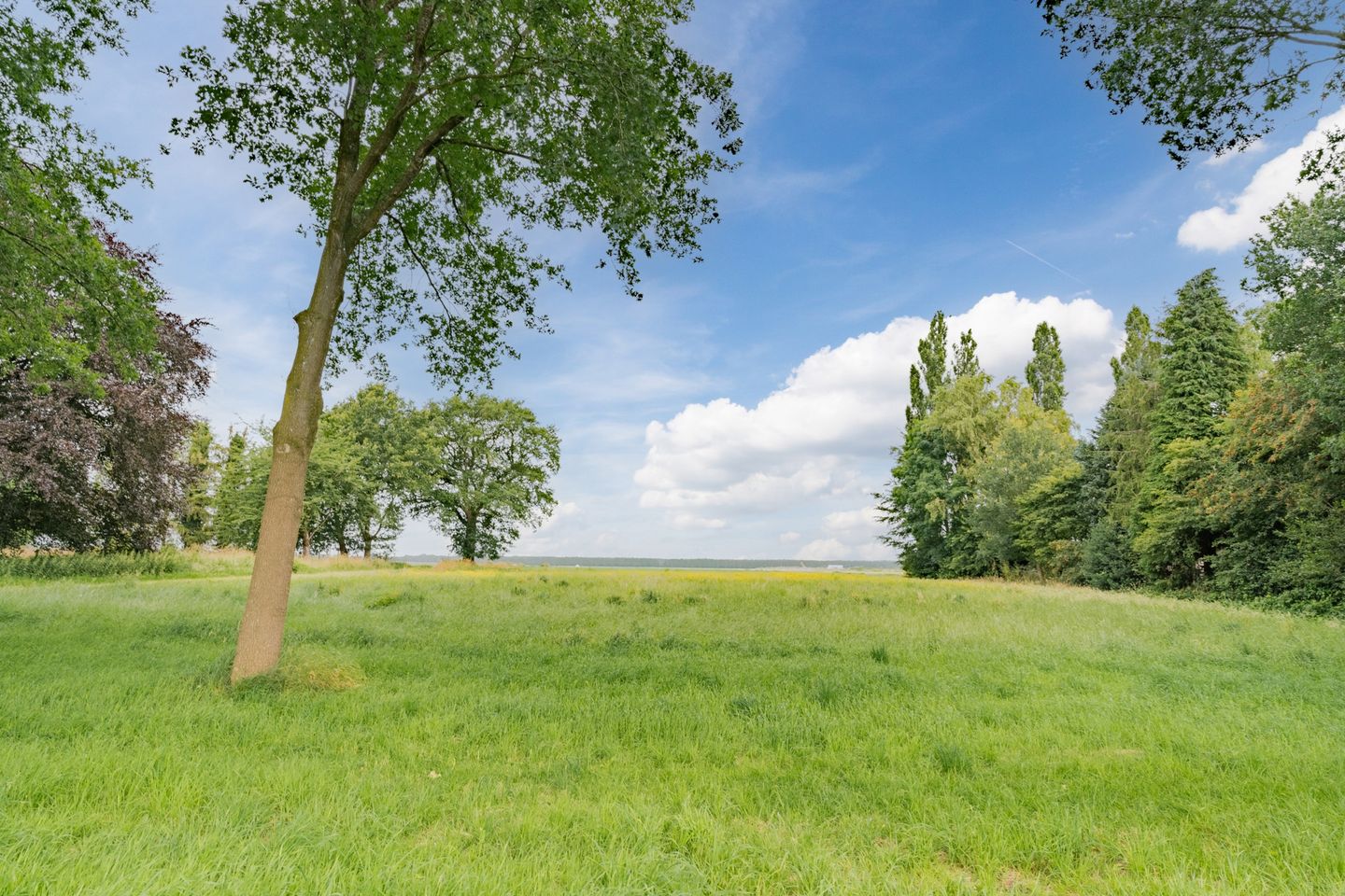 Foto 49 van Noorderdiep 46