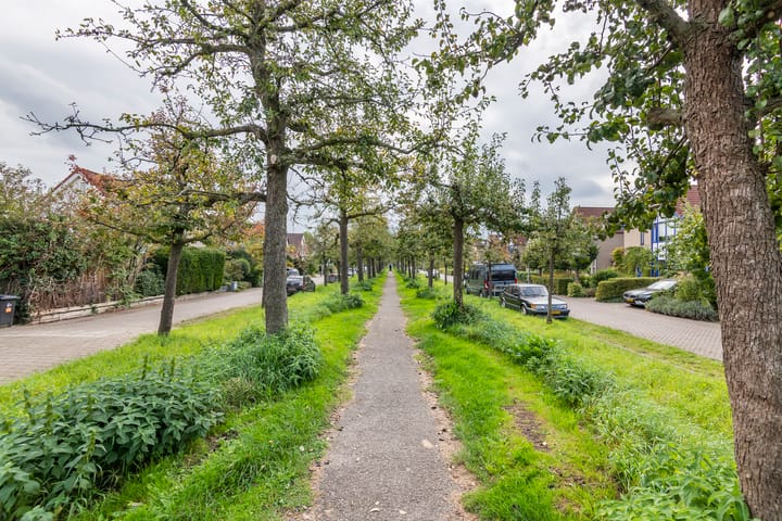 Foto 44 van Bikolaan 37